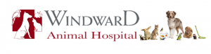 windward animal hospital logo