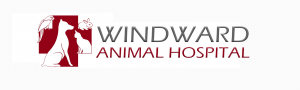 windward logo