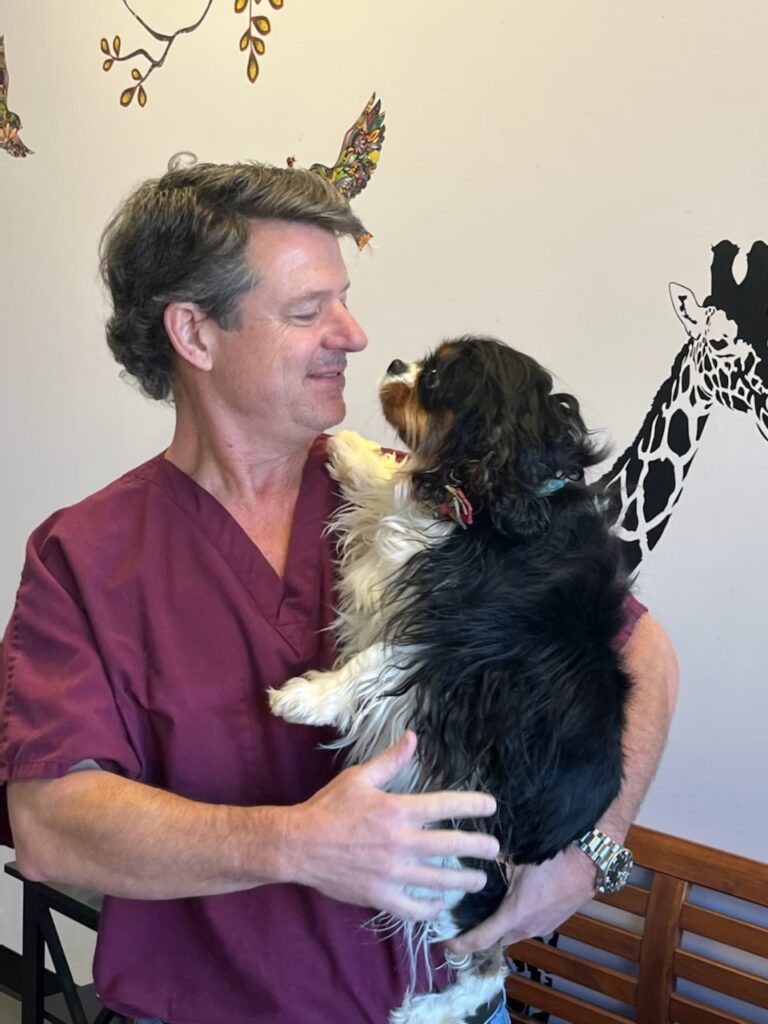 Windward Animal Hospital right at the border of Cumming GA