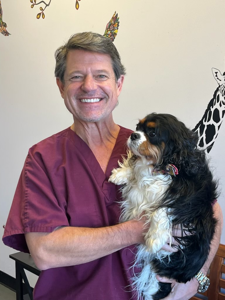 Dr Stewart Colby - Founder Windward Animal Hospital